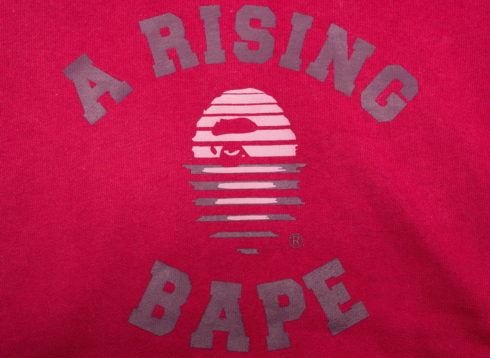 Bathing Ape Rising Bape Purple xld Pullover Hoodie