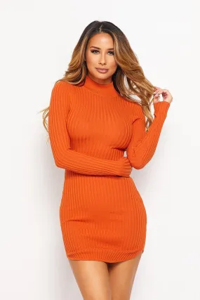 Orange long sleeve mock neck mini dress.