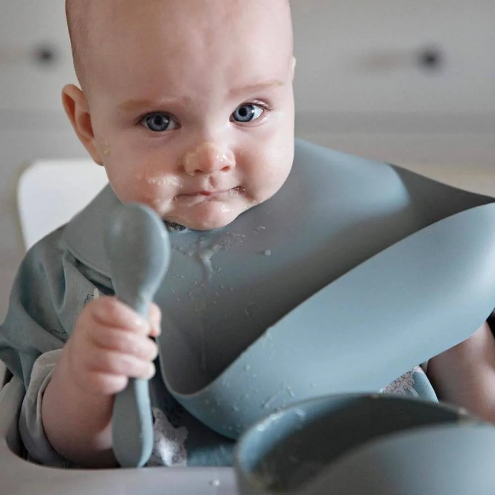 Periwinkle Silicone Baby Feeding Set