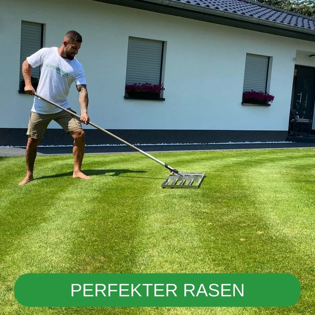 RISISANI L-80 Stainless Steel Premium Lawn Scarifier