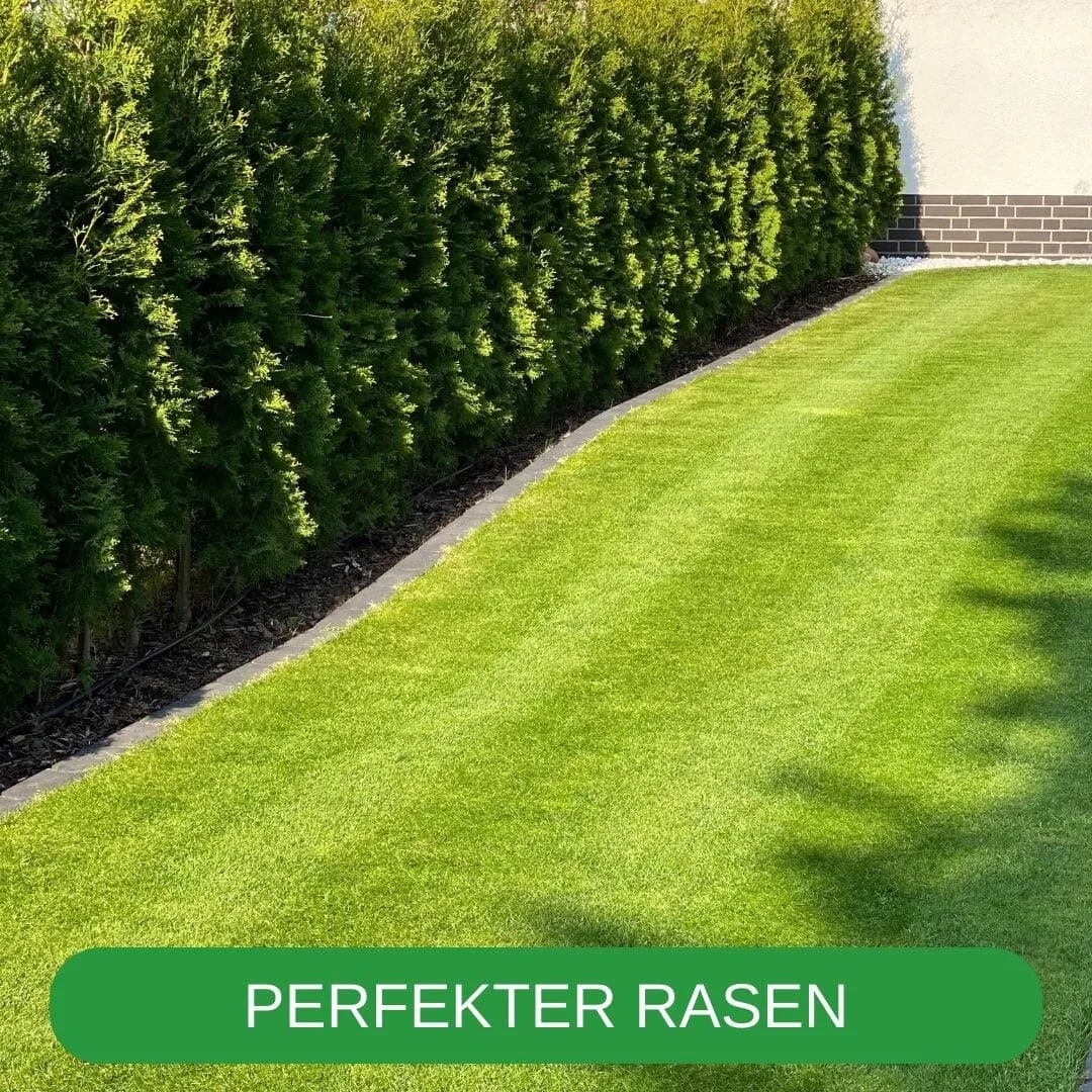 RISISANI Premium XL-120 Stainless Steel Lawn Scarifier