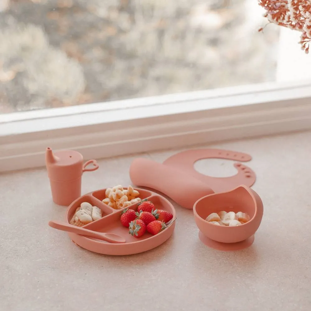 Silicone Baby Feeding Set - Brandy Rose: Baby Accessories