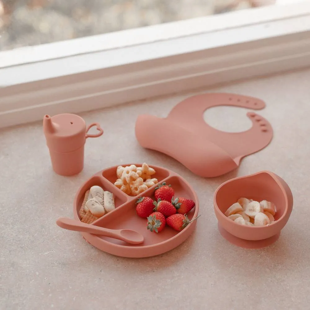 Silicone Baby Feeding Set - Brandy Rose: Baby Accessories