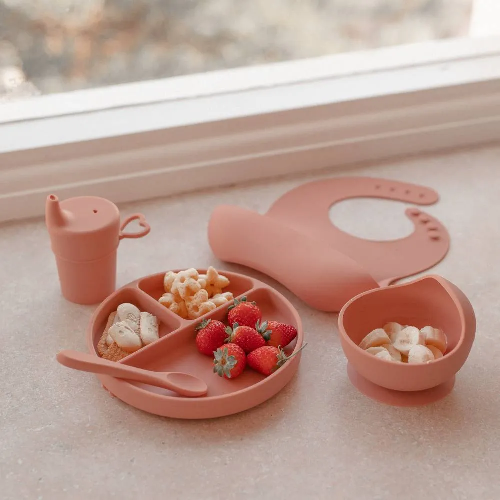 Silicone Baby Feeding Set - Brandy Rose: Baby Accessories