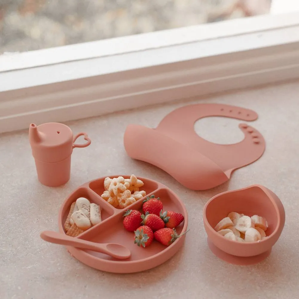 Silicone Baby Feeding Set - Brandy Rose: Baby Accessories