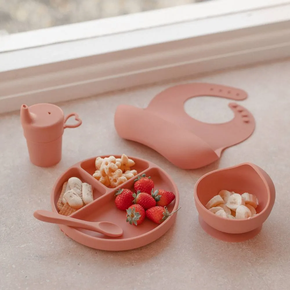 Silicone Baby Feeding Set - Brandy Rose: Baby Accessories